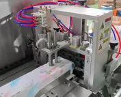 Changchun 12-Lane Wet Wipe Machine Customer Site