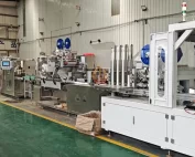 Wet Wipes Packaging Machine with Lid Applicator