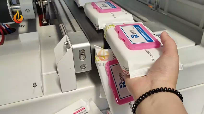 Economy 12 Roll Small Twin Roll Wet Wipe Machine