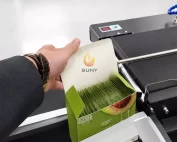 Single Wipes Machine with Carton Packaging Machine
