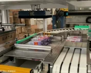 Automatic Wet Wipes Case Packer with Vacuum Gripper