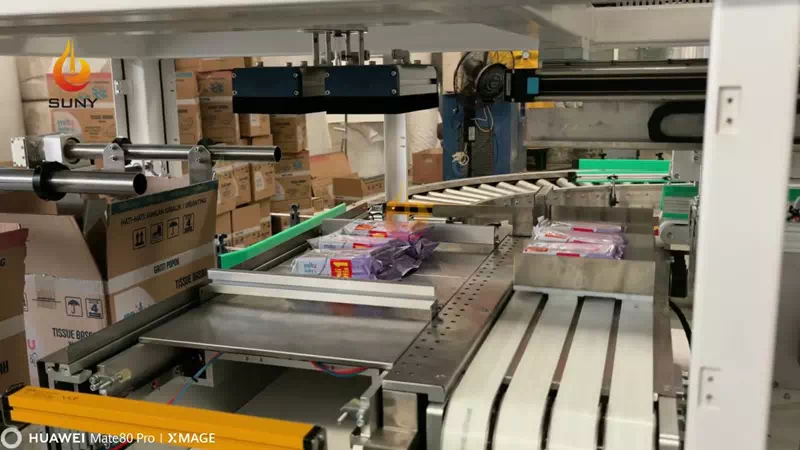 Automatic Wet Wipes Case Packer with Vacuum Gripper